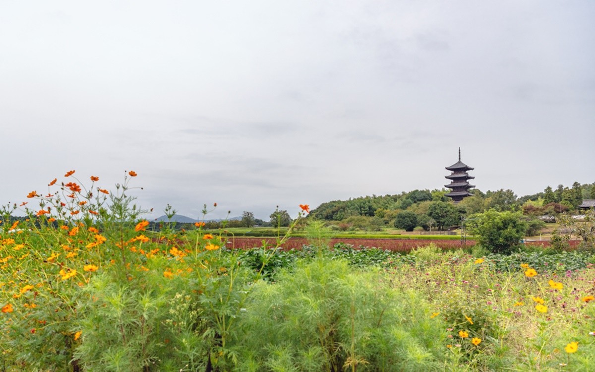 Explore Historic Landmarks in Okayama Prefecture's 
